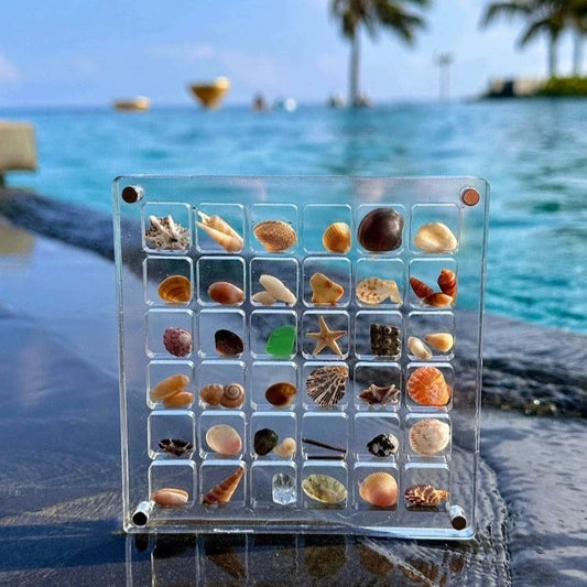 SeaShell Case